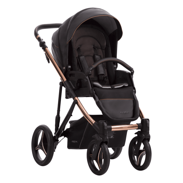 Kinderwagen | Pascal Premium Stella 02
