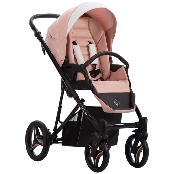 Kinderwagen | Flavio Gloss 01