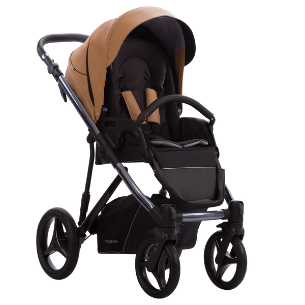 Kinderwagen | Pascal Premium Dark 03