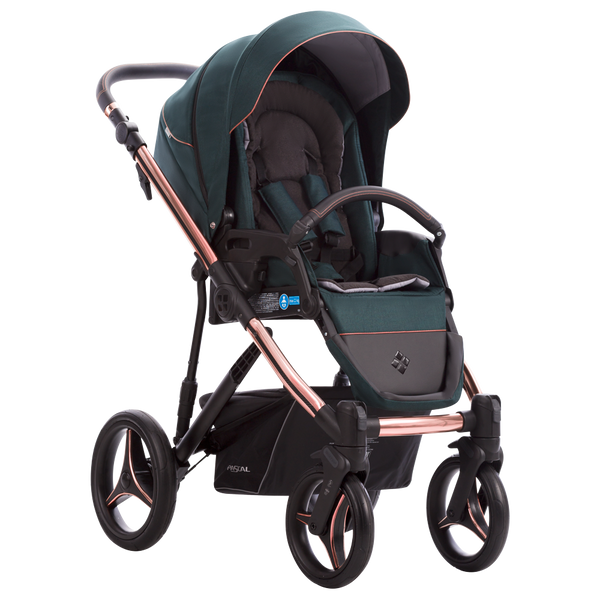 Kinderwagen | Pascal Premium Stella 05