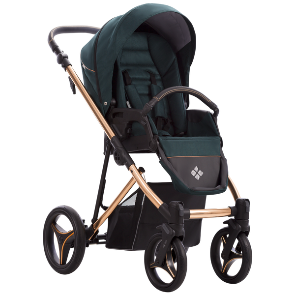 Kinderwagen | Flavio Premium Class Stella 01